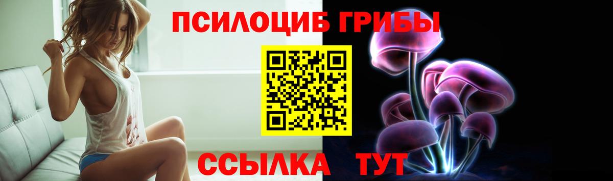 Галлюциногенные грибы Psilocybine cubensis Хасавюрт